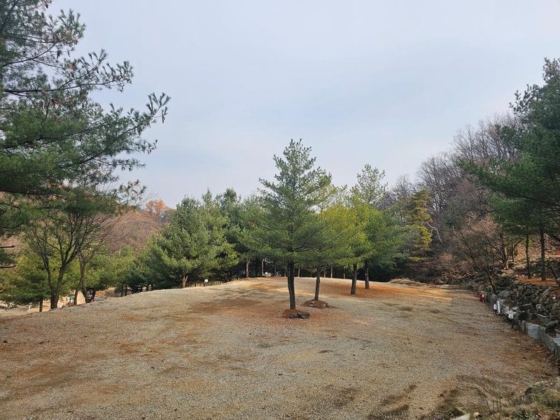 (에드203) 플라네캠핑장 시설 사진 13