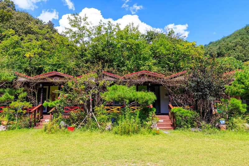 풀꽃이랑 캠핑장 시설 사진 5