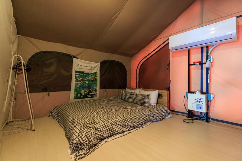 펫앤트리 시설 사진 15