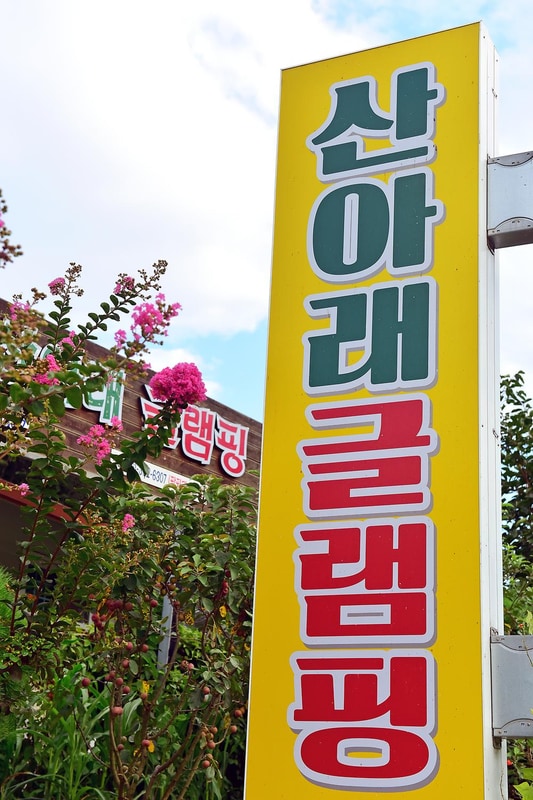 월성 산아래 글램핑 시설 사진 10