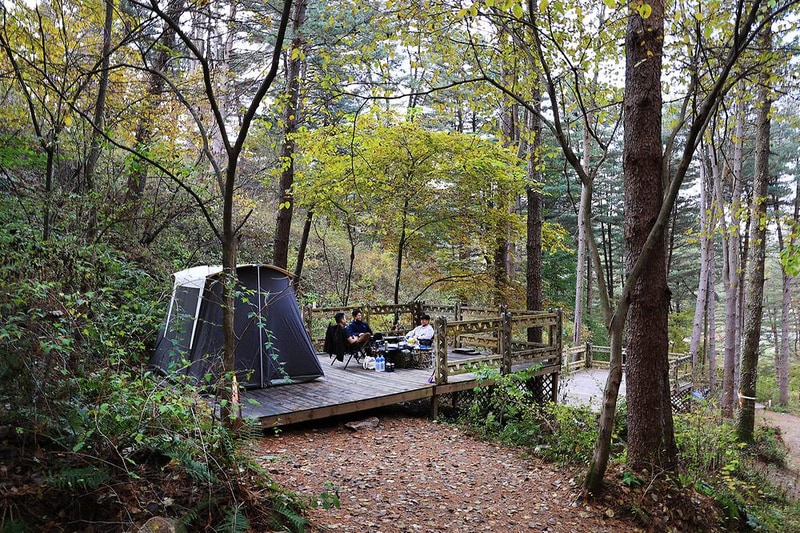 엉클킴스 캠핑장 시설 사진 10