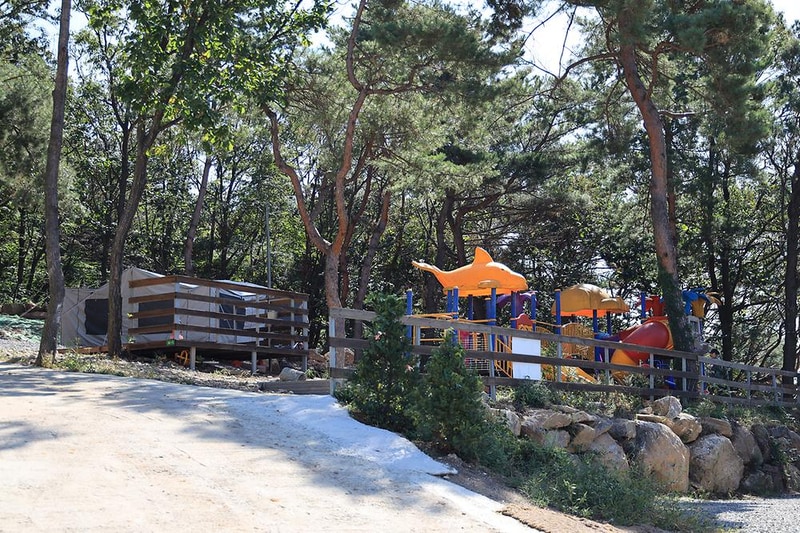 강화도 아침 숲속야영장 시설 사진 12