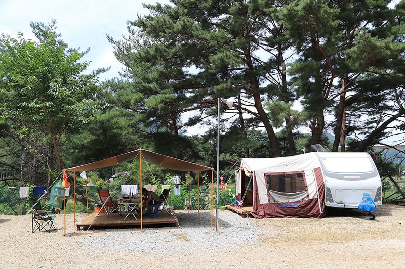 내린천솔밭힐링캠핑장 시설 사진 12