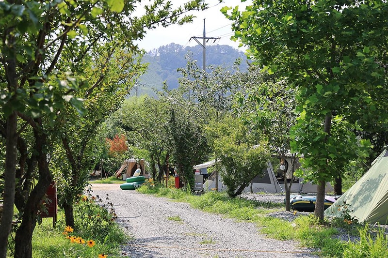 양양 고인돌 캠핑장 시설 사진 15