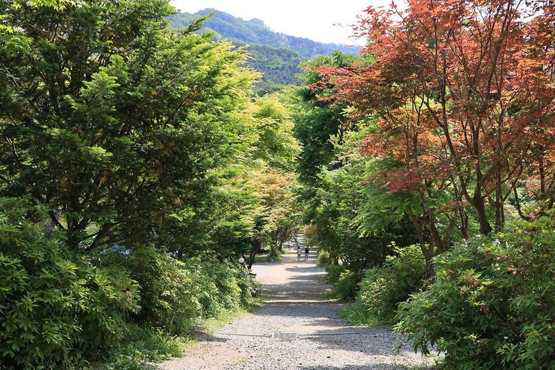 숲에서 놀자 시설 사진 1