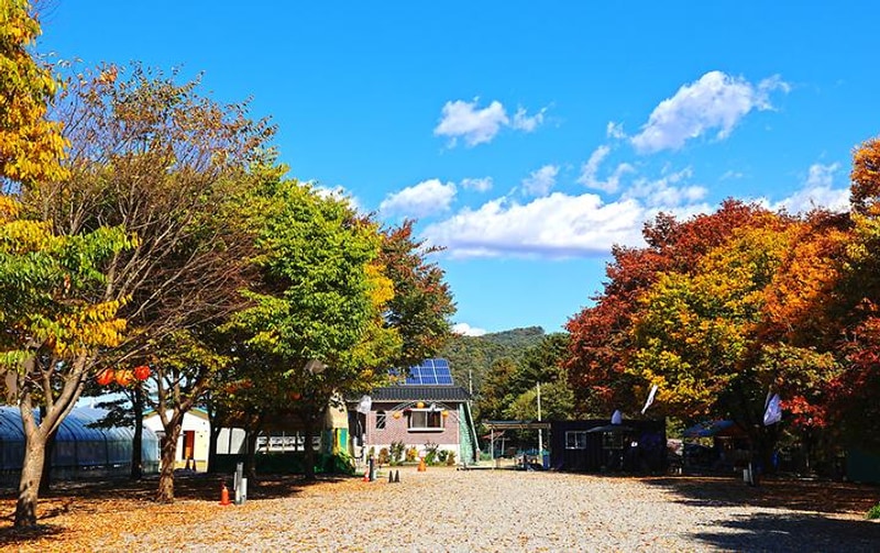 포도밸리 캠핑장 대표 사진