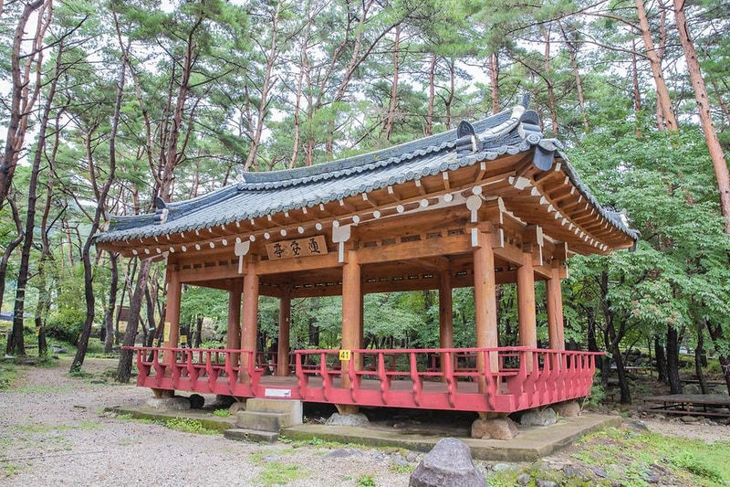 솔내음 캠핑장 시설 사진 1