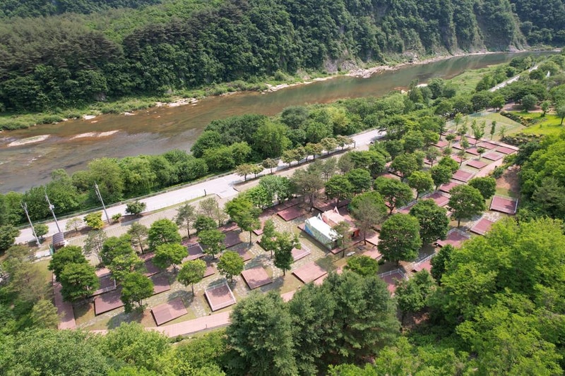 정선군생태체험학습장야영장 펫 동반 캠핑장 시설 사진 95