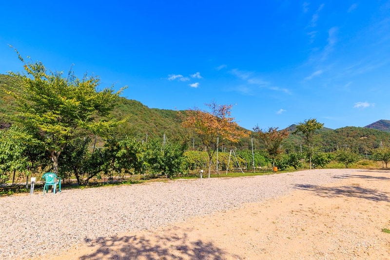 돌고래 오토 캠핑장 시설 사진 16