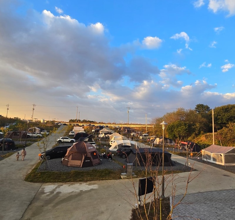 캠핑킹 관광농원 대표 사진