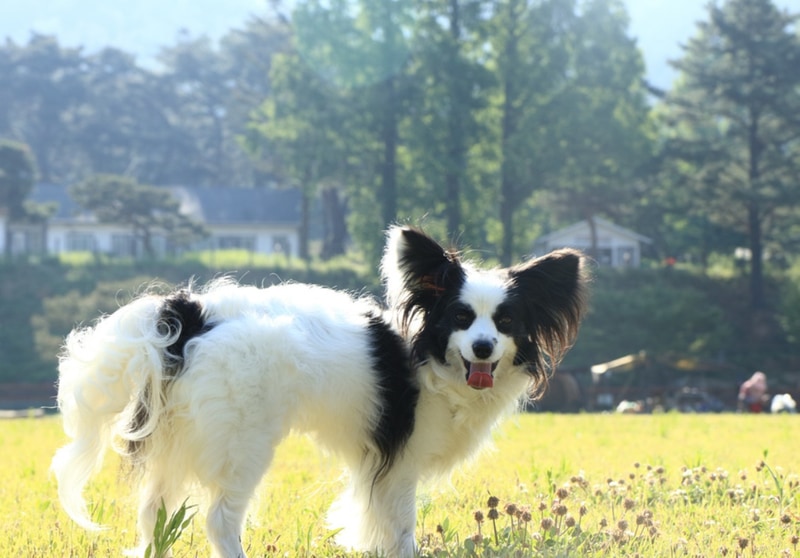 솔뜰 캠핑장 시설 사진 18
