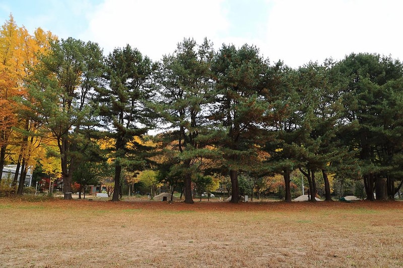 일영Star캠핑장 시설 사진 2