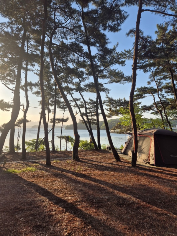 청산리오토캠핑장