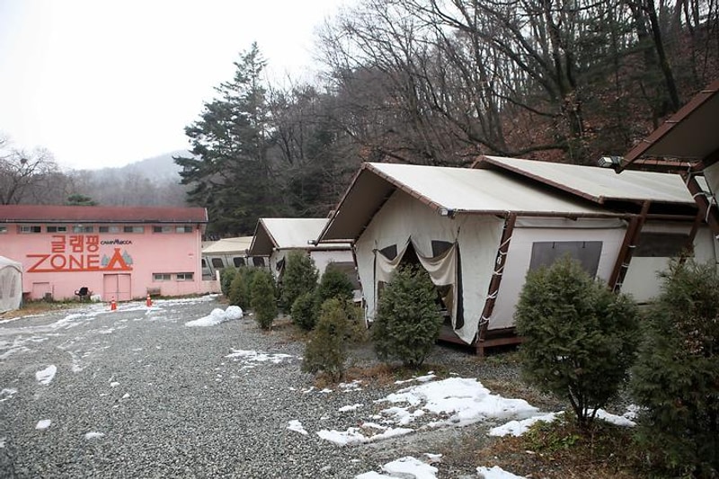 보고 대표 사진