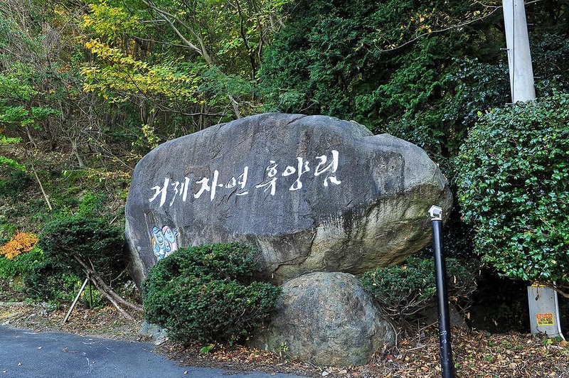 거제자연휴양림 시설 사진 11