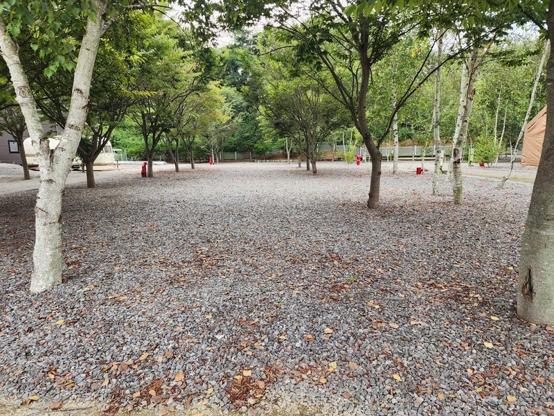 나무와 쉬리 시설 사진 7