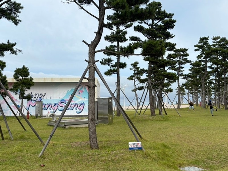 동해여행기록/망상오토캠핑리조트/장수돌짜장/쌍둥이동물원