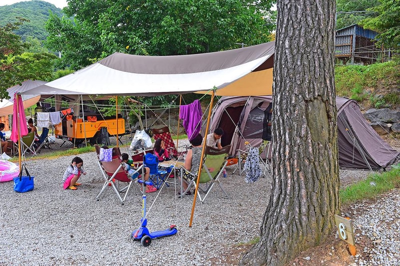 웅이네캠핑장 시설 사진 7