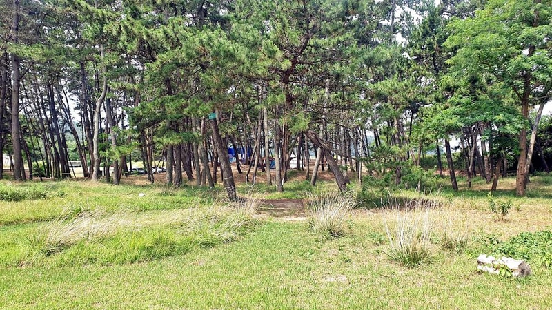 캠프 해놀 시설 사진 12