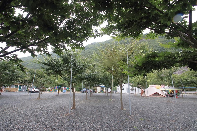 별찌 야영장 시설 사진 21