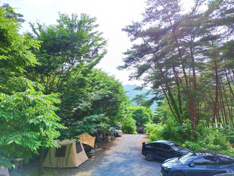 별빛캠핑장 시설 사진 30