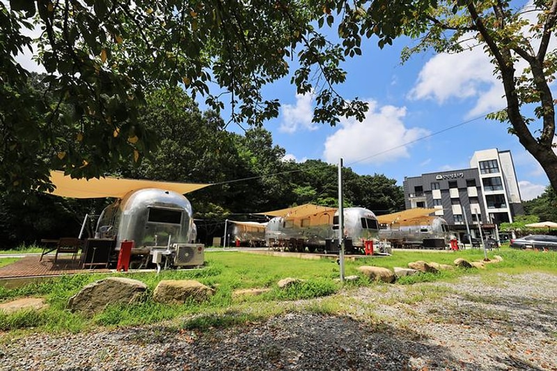 선인장 대표 사진