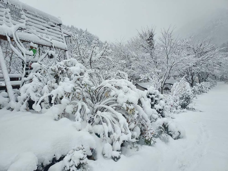 횡성산울림오토캠핑장 시설 사진 12
