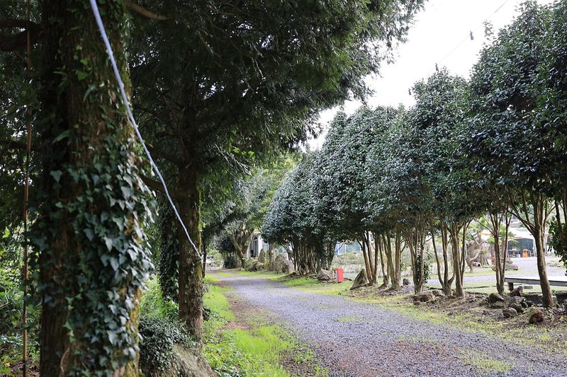 제주올레캠핑 시설 사진 3