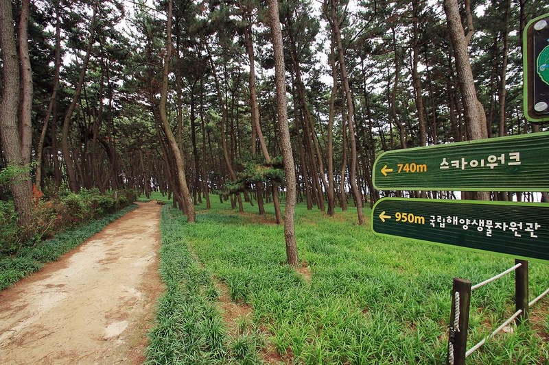 솔바람 캠핑장 시설 사진 4