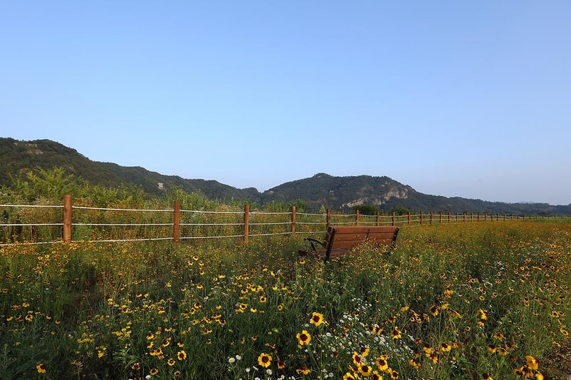 상주보 오토캠핑장 시설 사진 2