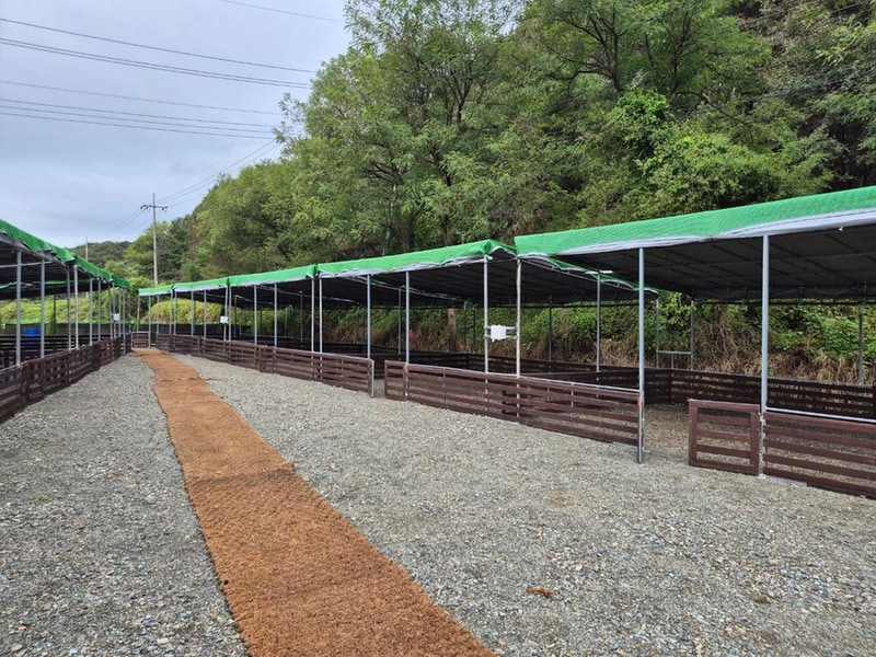 도지캠핑 시설 사진 1