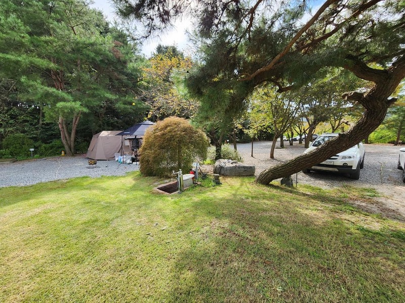 숲속에안뜰 캠핑장 시설 사진 17