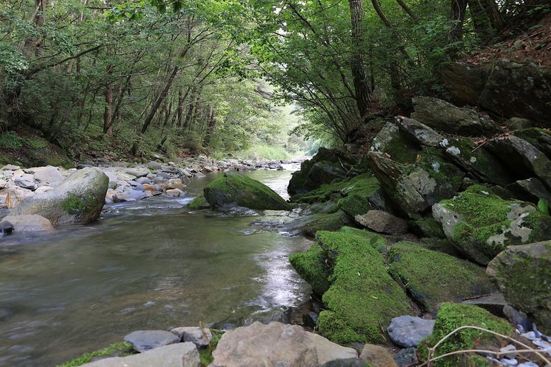 600마지기 가는길 야영장 시설 사진 15