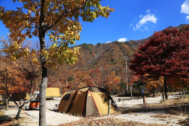 달궁자동차야영장 시설 사진 49