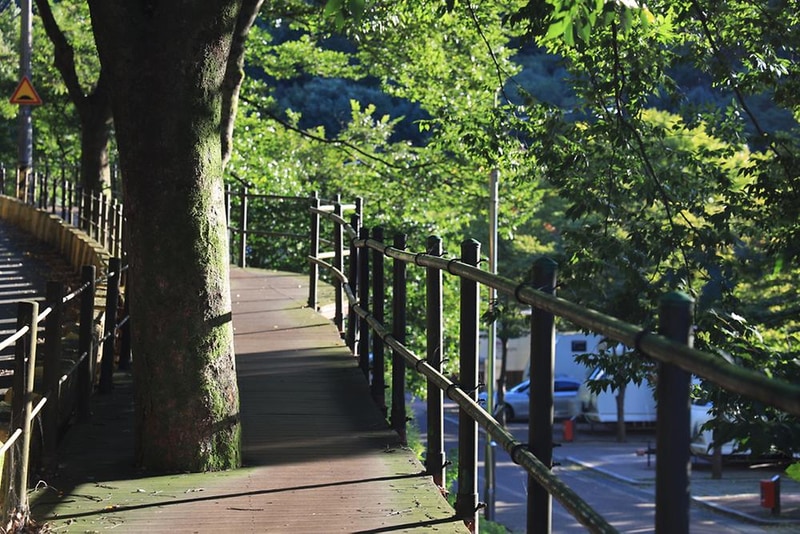 구룡자동차야영장(치악산국립공원) 시설 사진 4