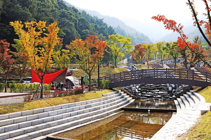 서운산 자연휴양림 자동차야영장 시설 사진 10