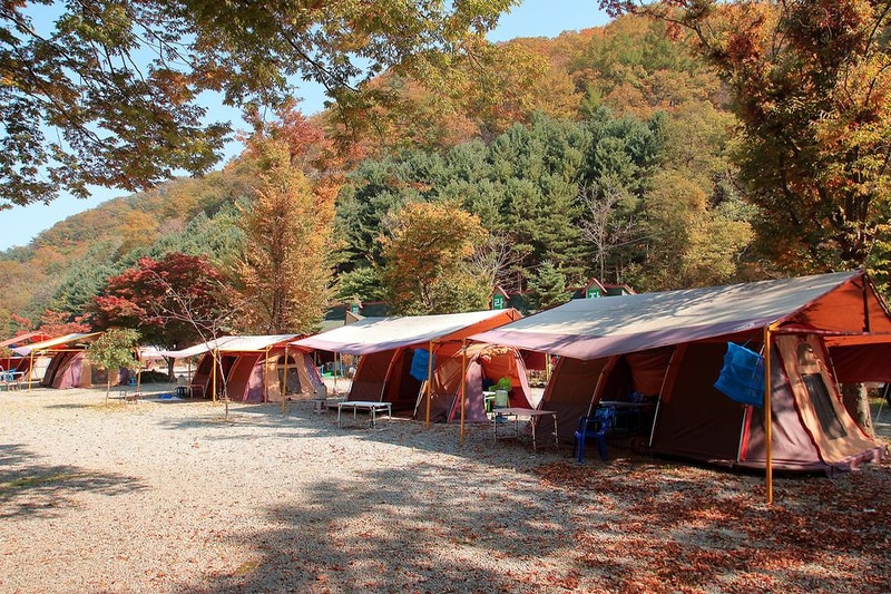 이지캠핑장 시설 사진 6