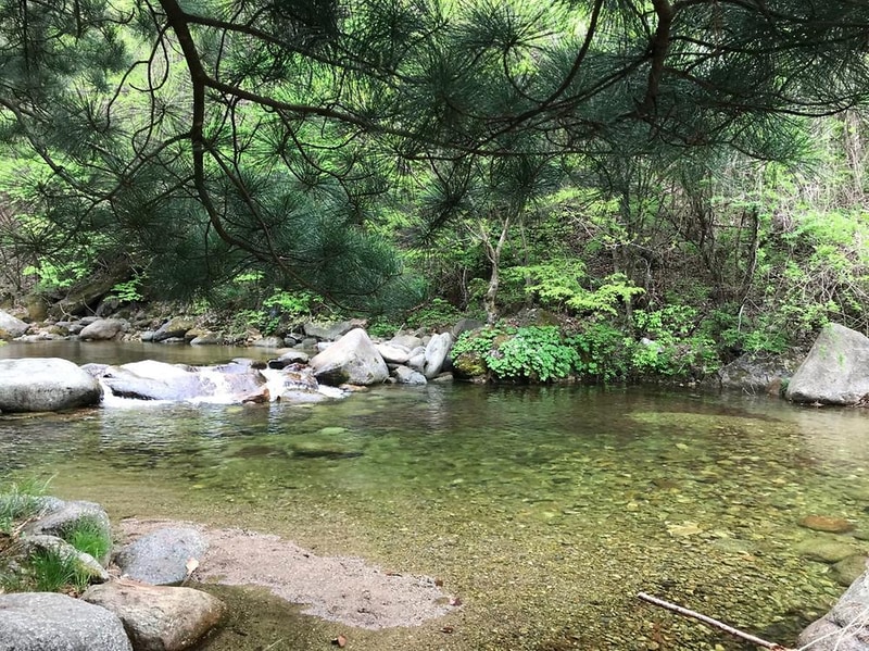 단양 천동계곡 캠핑장 그린농원 시설 사진 3