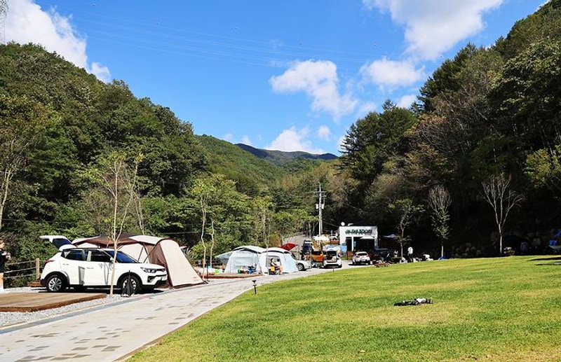 캠프 인더숲 대표 사진