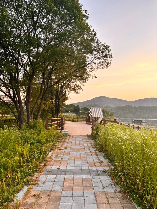 안성 히든캠프 그린존 장단점 분명한 캠핑장