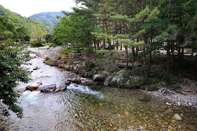 물가솔솔캠핑장 시설 사진 14