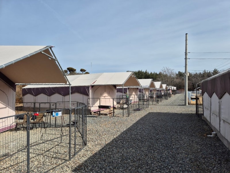 서울근교애견글램핑펜션 서산펫앤트리펜션