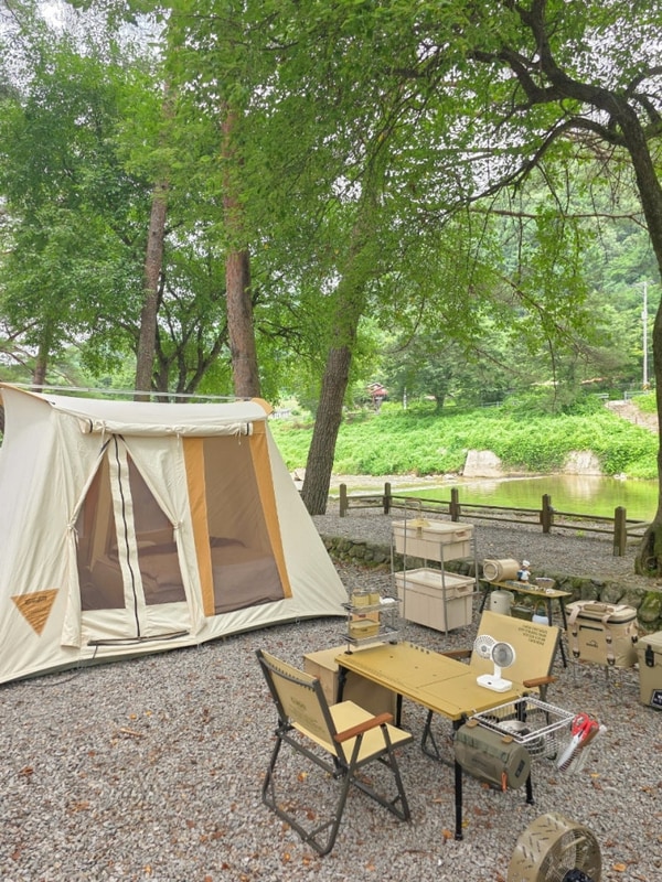 [캠핑] 영월 내리계곡 솔밭캠핑장