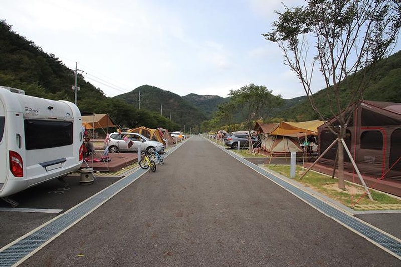 산꽃벚꽃마을 오토캠핑장 대표 사진