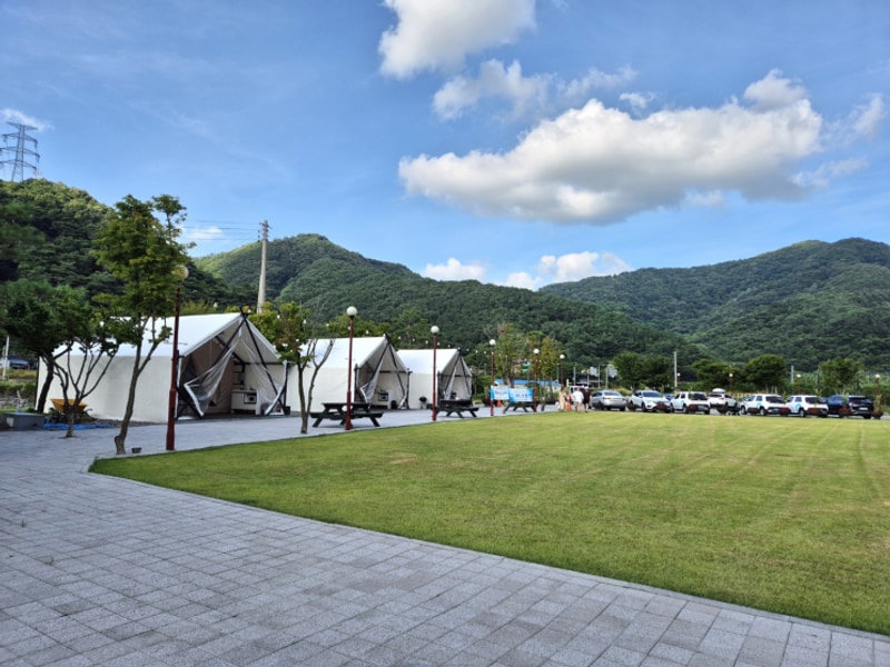 [광주근교 신상 글램핑] 장성 애플 글램핑 후기｜넓은 잔디...