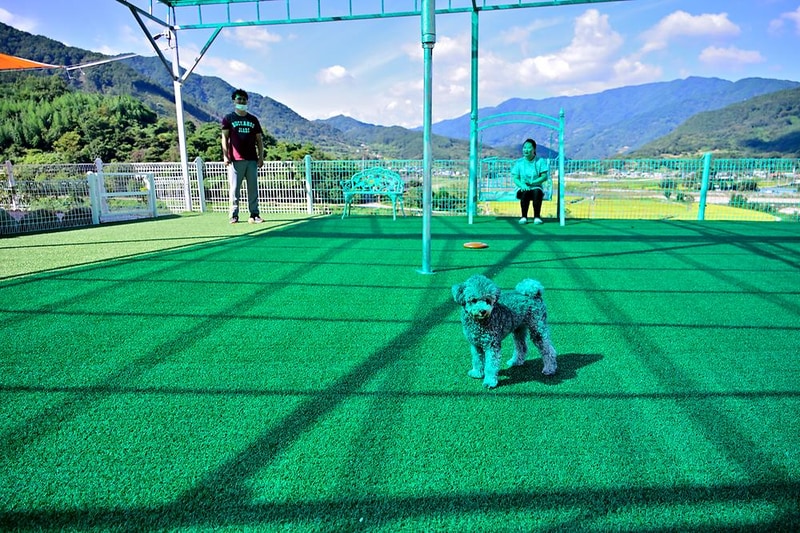 산청펫글램핑 시설 사진 15