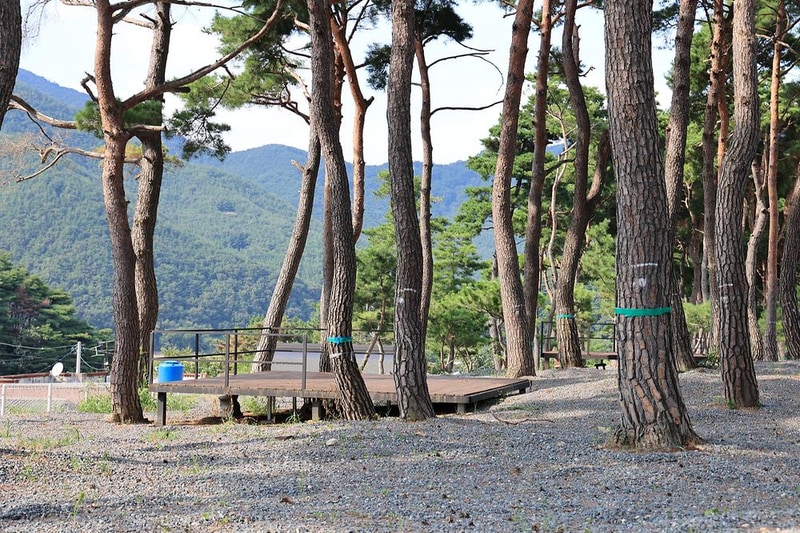 초록여울 캠핑장 시설 사진 18