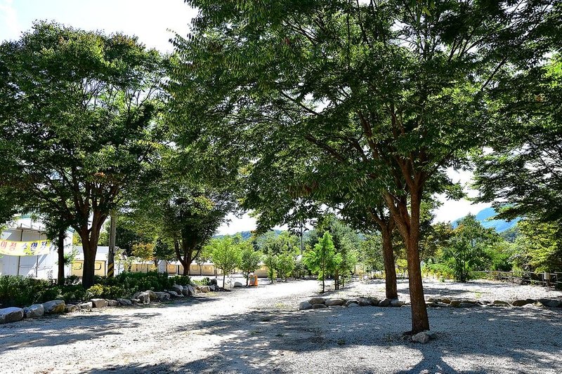 백운계곡캠핑장 시설 사진 6