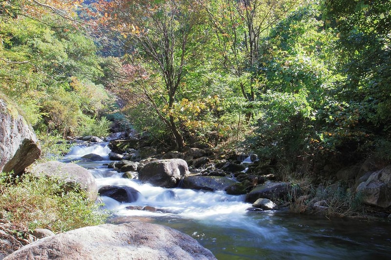 솔티야영장 시설 사진 14