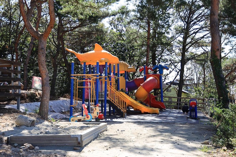 강화도 아침 숲속야영장 시설 사진 5